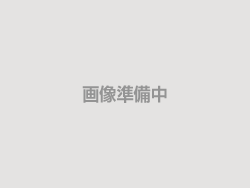 友禅和帳11 友禅和帳11